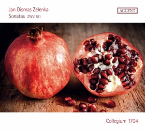 Zelenka: 6 Sonatas, ZWV 181