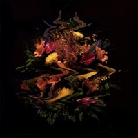 Visions - EP - Handsome Tiger