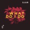 What Do I Do - SJUR lyrics