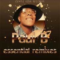 Essential Remixes - Paul B