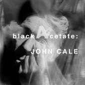 John Cale - Sold Motel