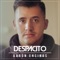 Despacito - Kurt Hugo Schneider & Aaron Encinas lyrics