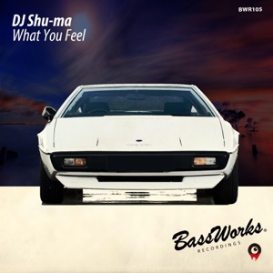 What You Feel - Single