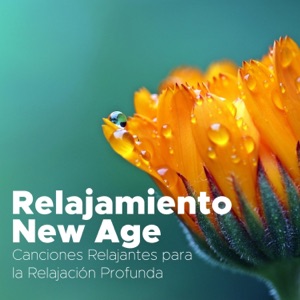 Relajamiento New Age - Canciones Relajantes para la Relajación Profunda