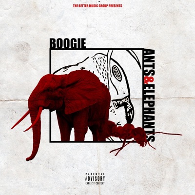 Ants & Elephants