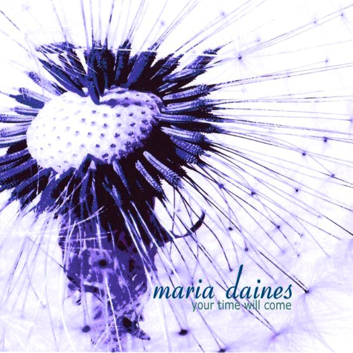 Maria blues. Maria Daines альбомы. Maria обложка альбома. Maria Daines обложки CD.