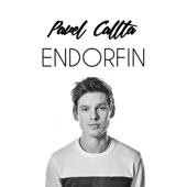 Endorfin artwork