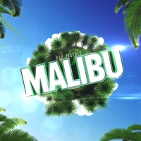 Malibu (Basslouder Remix Edit)
