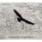 Come Down - Jonathan Pilcher lyrics