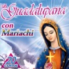 Mañanitas a la Virgen de Guadalupe by Alabanza Musical iTunes Track 1