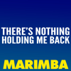 There's Nothing Holding Me Back (Marimba Remix) - The Marimba Squad