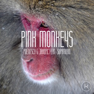 Pink Monkeys - Single
