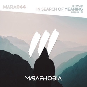 In Search of Meaning - Single