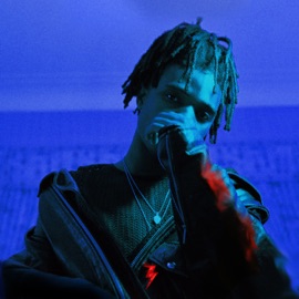 Shadow TAPZ GALLANTINO