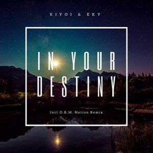 In Your Destiny - Single