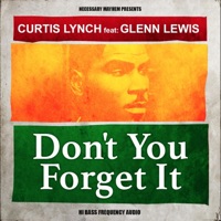 Don't You Forget It (feat. Glenn Lewis) [Reggae Mix] - Single - Curtis Lynch