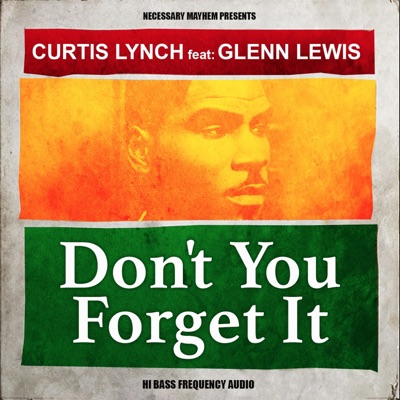 Don't You Forget It (feat. Glenn Lewis) [Reggae Mix] - Single