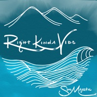 Right Kinda Vibe - Single - Soul Majestic