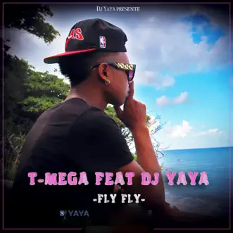 Girl Mi Ve Fly Fly (feat. DJ Yaya) - Single by T-Mega album reviews, ratings, credits