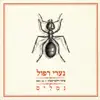 נערי רפול - נמלים