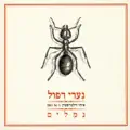 נמלים