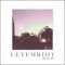 All We Are - Let Em Riot lyrics