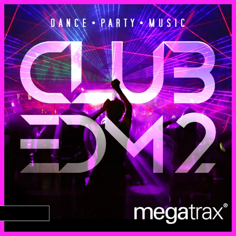 即決CD THAT'S CLUB TRAX NON-STOP MIX VOL.2 / DJ'S