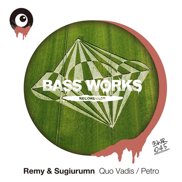 Quo Vadis / Petro - Single