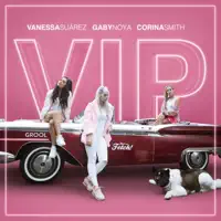 V.I.P