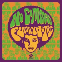 Funkydelic - Single - No Comment