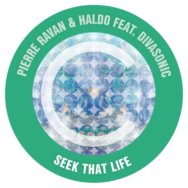 Seek That Life
