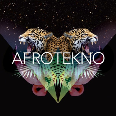 Afrotekno pt. 2 (New Badman Riddim) - Single