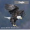 Little Feather - James Brent Westbrook lyrics