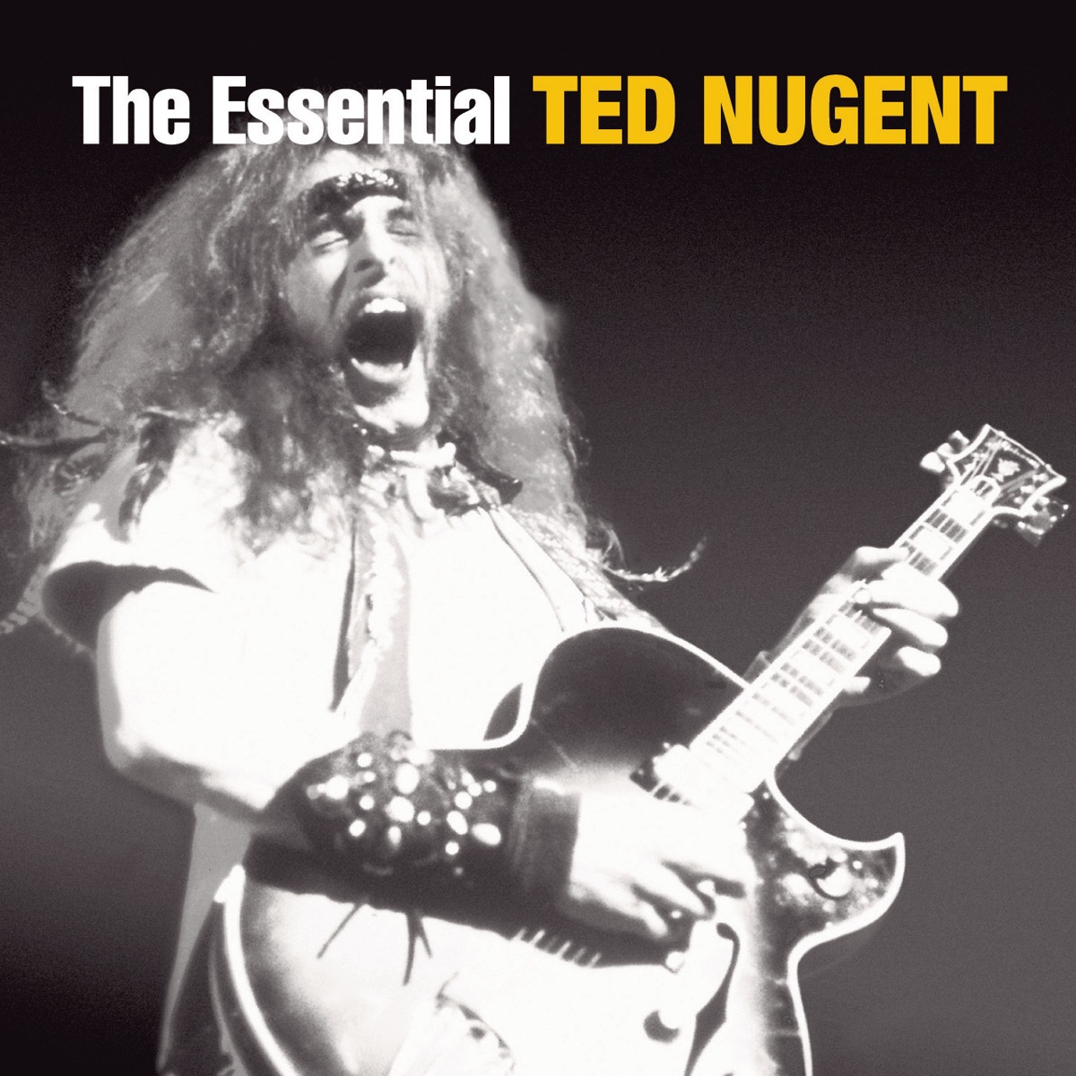 Ted nugent cat scratch fever double live gonzo