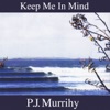 P.J. Murrihy - Drawing Little Men In The Ashes