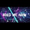 Hold Me Now - Josh Dreon lyrics