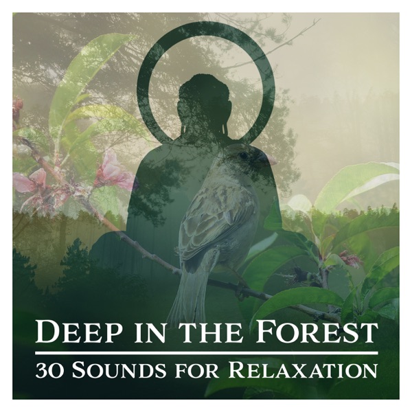 Deep in the Forest: 30 Sounds for Relaxation, Meditation, Healing, Deep Sleep and Yoga, Natural Ambiences Collection