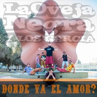 Donde va el amor? (feat. Jorge Serrano & Los Auténticos Decadentes) - Single - La Oveja Negra y Los Garcia