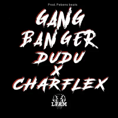 Gang Banger (feat. Charflex & Dudu) - Single - LFAM
