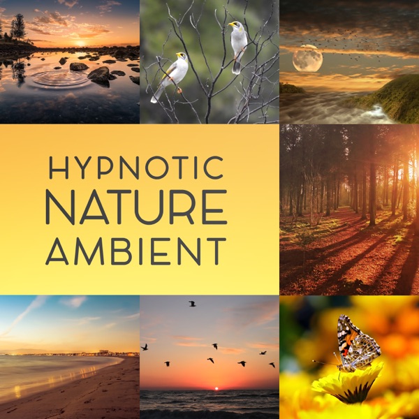 Hypnotic Nature Ambient: Soothing Sounds and Instrumental Background for Meditation, Yoga, Inner Peace, Relaxation, Reduce Stress