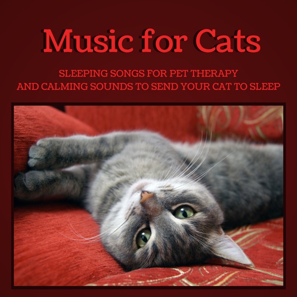 Music for Cats - Sleeping Songs for Pet Therapy and Calming Sounds to Send Your Cat to Sleep