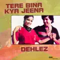 Mere Sapnon Ki Rani