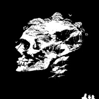 Declaration - Single - Breger