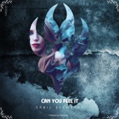 Can You Feel It artwork