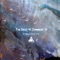 Chelo (Nomo.ar Remix) - Nicolas Bouzas lyrics