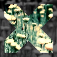 Nobody - Single - Jackie Joe