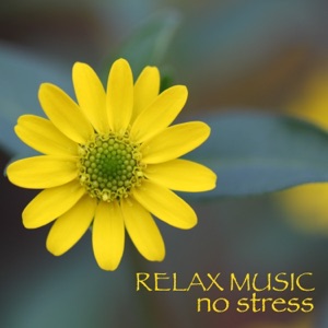 Relax Music No Stress - 50 Zen Tracks for Stress and Anxiety Relief, Mind Relaxing Music Sleep