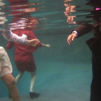 Salmon, Water - Single - ford.