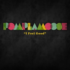 I Feel Good - Single