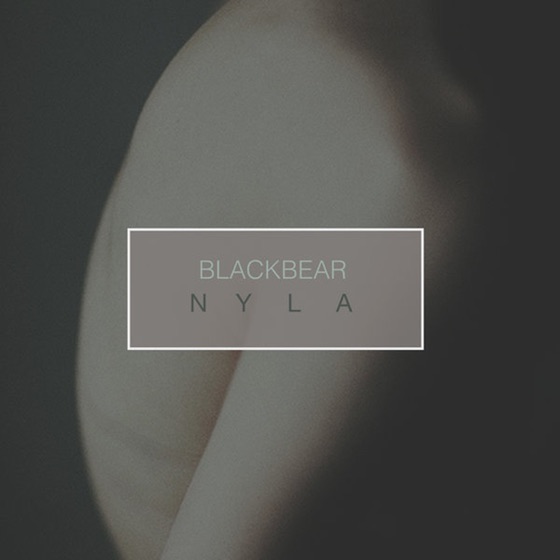Cover artwork for N Y L A